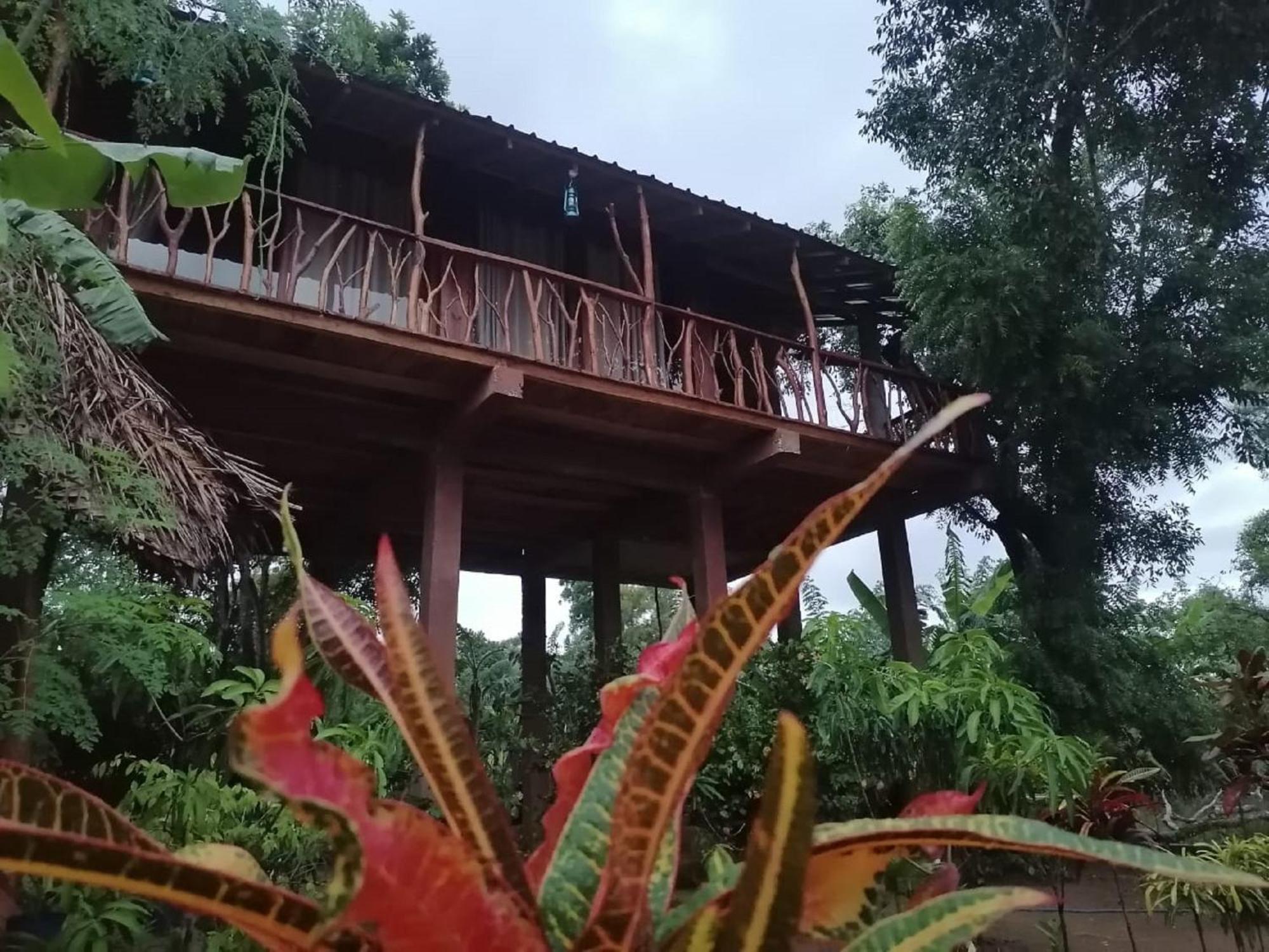 Sigiriya Rock View Tree House别墅 外观 照片