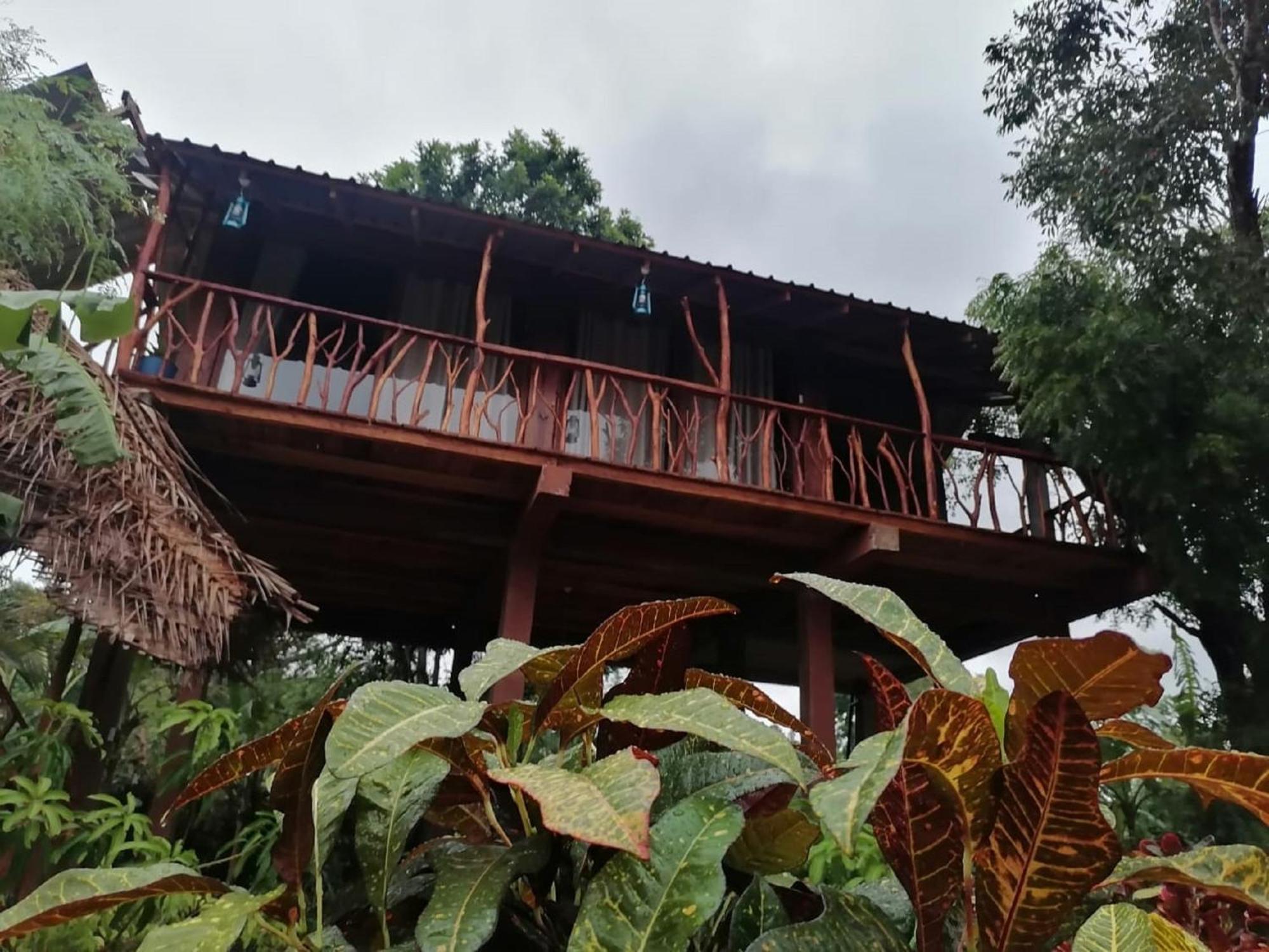Sigiriya Rock View Tree House别墅 外观 照片