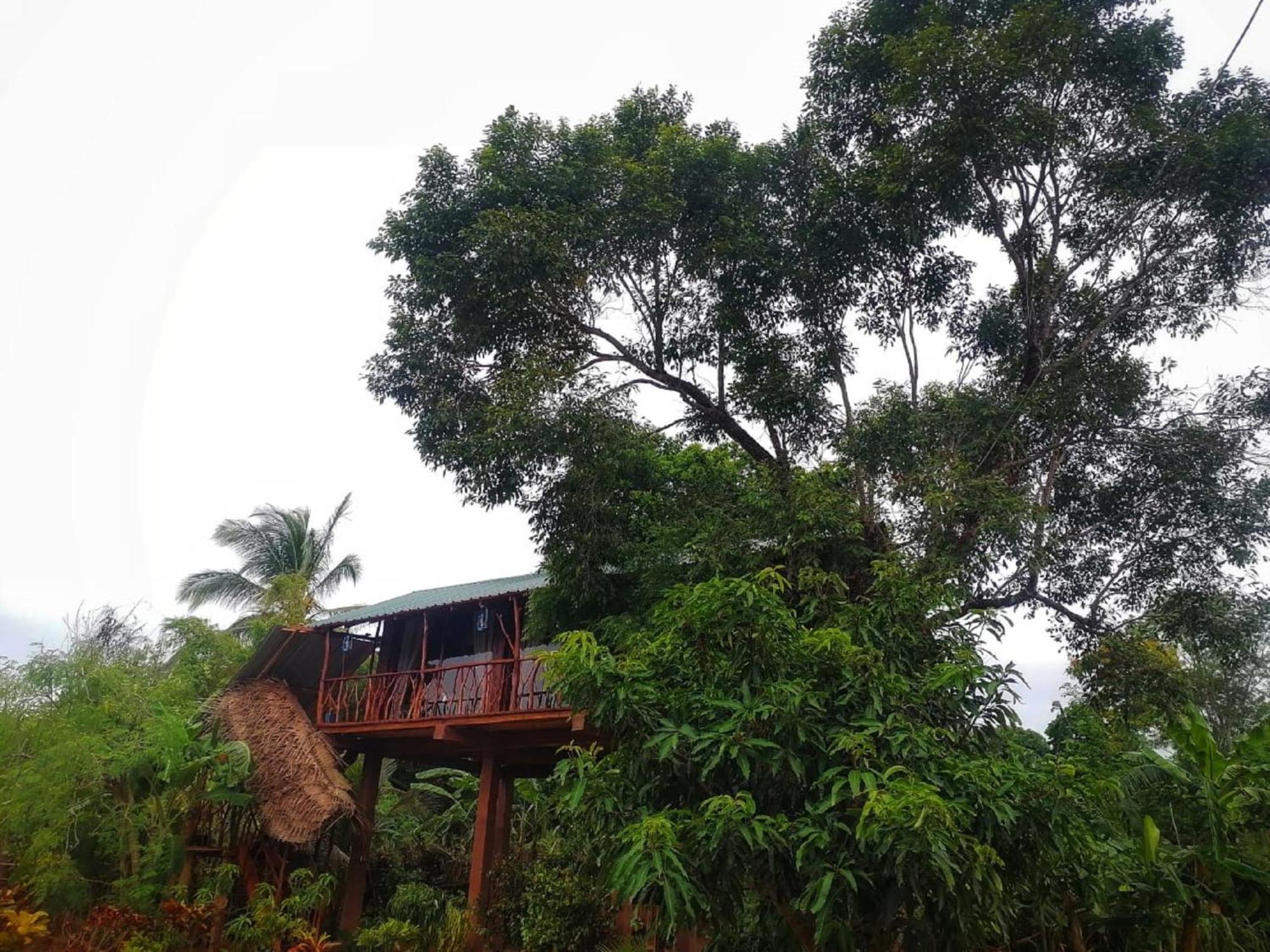 Sigiriya Rock View Tree House别墅 外观 照片