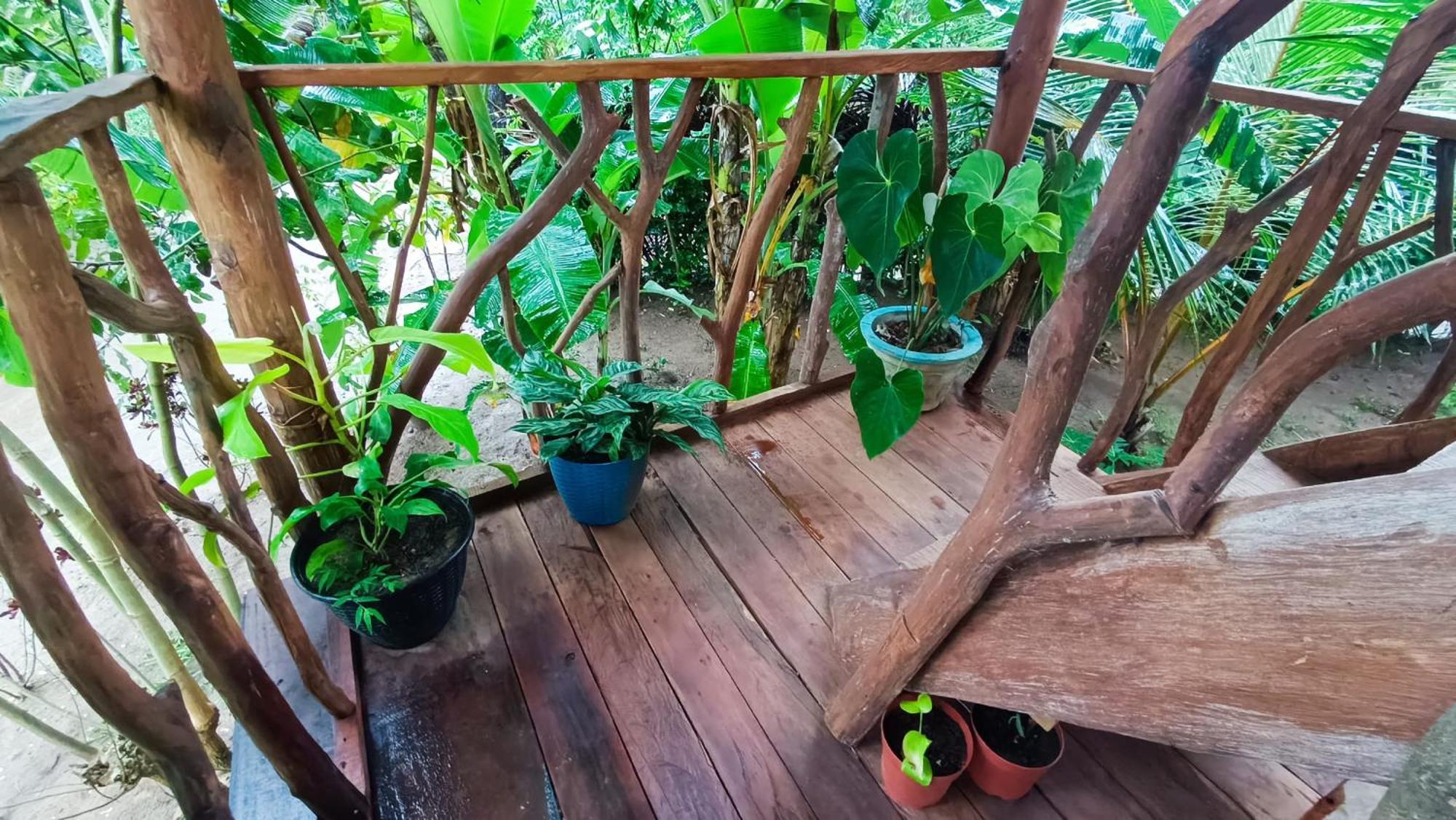 Sigiriya Rock View Tree House别墅 外观 照片